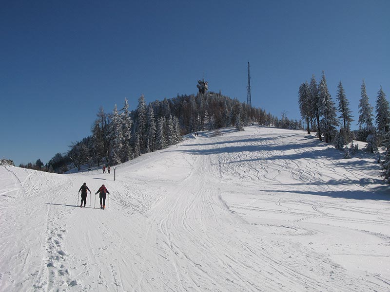 Muckenkogel